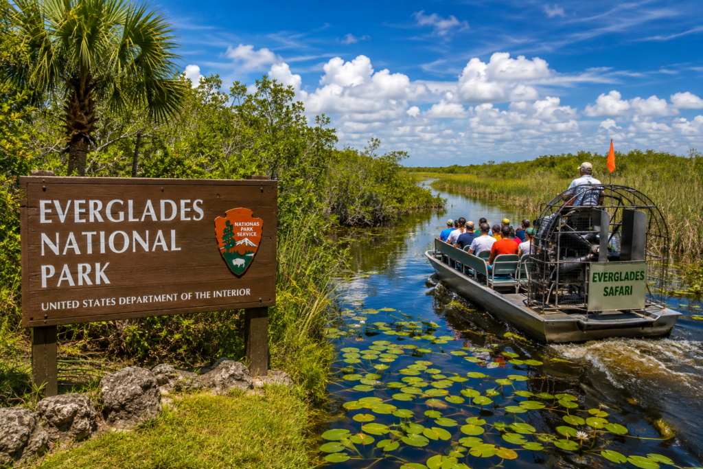 Everglades National Park in Florida with wetlands, mangroves, and an airboat